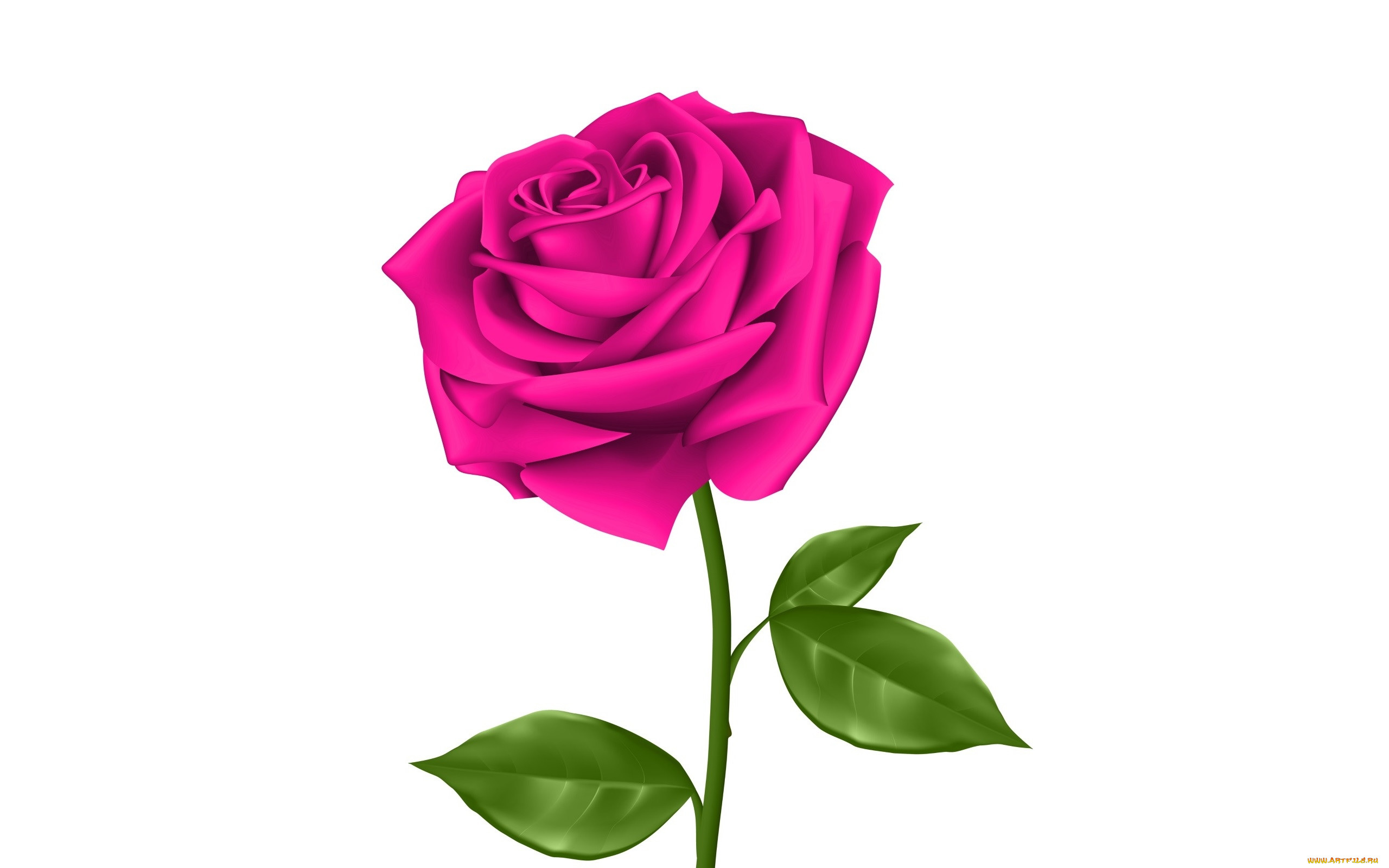  ,  , flowers, , , 